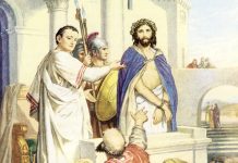 24. studenoga: KRIST, KRALJ SVEGA STVORENJA B