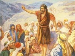 7. prosinca: 2. NEDJELJA DOŠAŠČA (A)